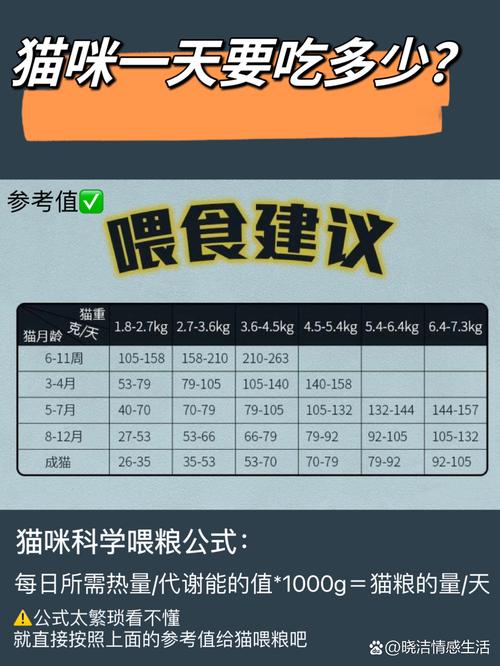 猫咪食量不固定，按体重喂，注意健康！（猫一天的食量是多少）