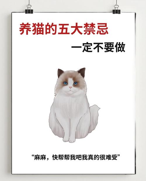 科学喂养健康指南（养猫的注意事项和禁忌）