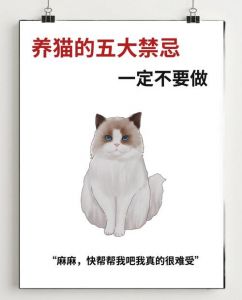 科学喂养健康指南（养猫的注意事项和禁忌）