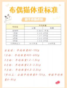 布偶猫体重变化及管理（布偶猫正常体重范围）