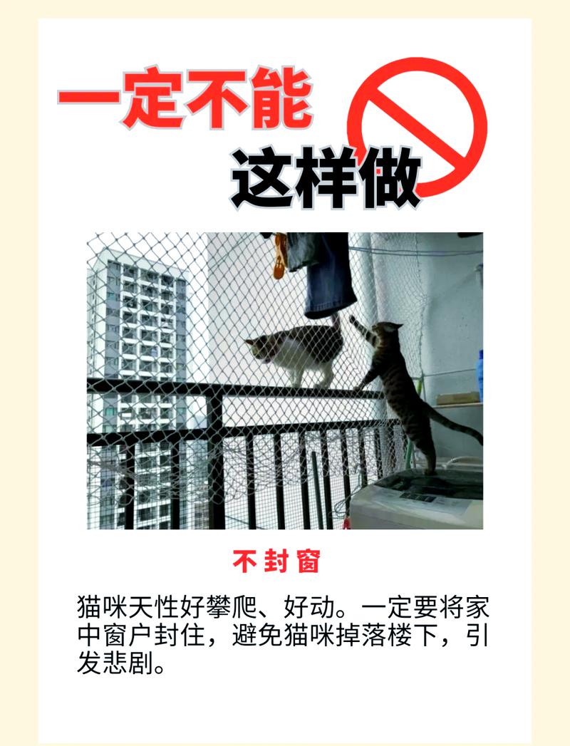 男不养猫过时了？男性养猫也正常！（男不养猫的禁忌是什么）