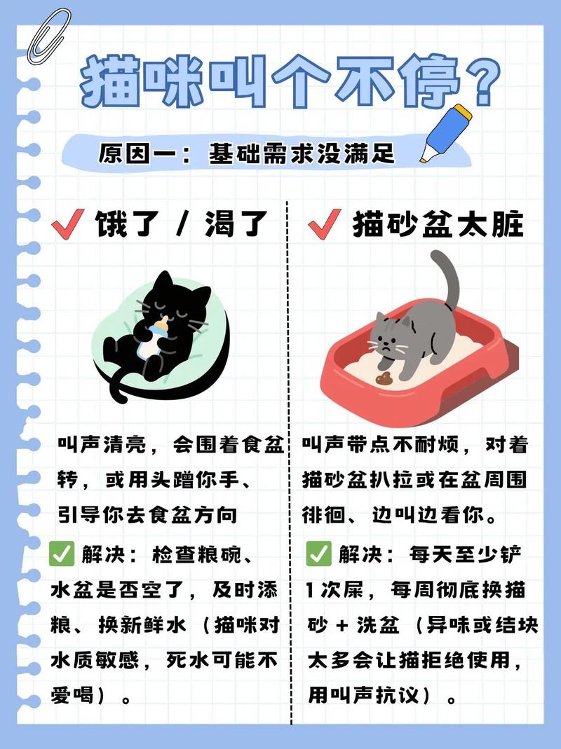 猫咪春秋发情怎么办？（猫到什么季节开始叫）