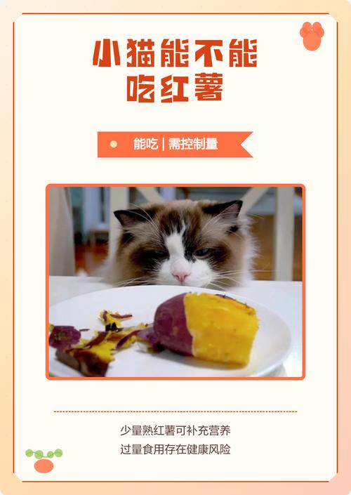 猫可少量食红薯，助消化补营养，注意别过量（小猫可不可以吃红薯）