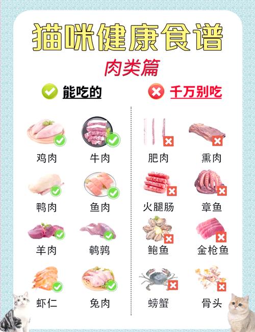 20种人类食物推荐（猫能吃的20种食物）