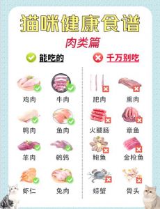 20种人类食物推荐（猫能吃的20种食物）