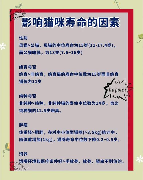 猫咪几岁繁殖最好？（种猫一般几岁退役）