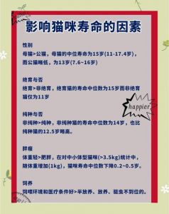 猫咪几岁繁殖最好？（种猫一般几岁退役）