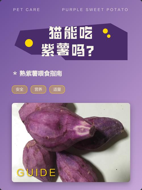 喂猫红薯紫薯要适量煮熟（猫能吃山芋或紫薯吗）