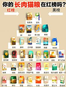 国产猫粮进步大！许愿仔性价比高，美毛鸡肉烘焙冻干款各有侧重（国产猫粮排行榜前十）