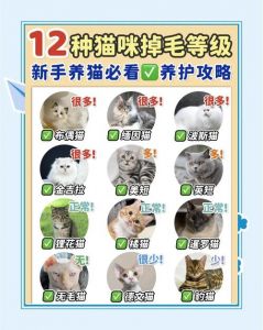 猫咪掉毛多吗？品种差异大！（掉毛最多的猫排名）