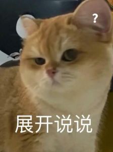 红薯可喂猫，助消化但别多吃，均衡饮食最重要（猫不吃猫粮吃红薯）