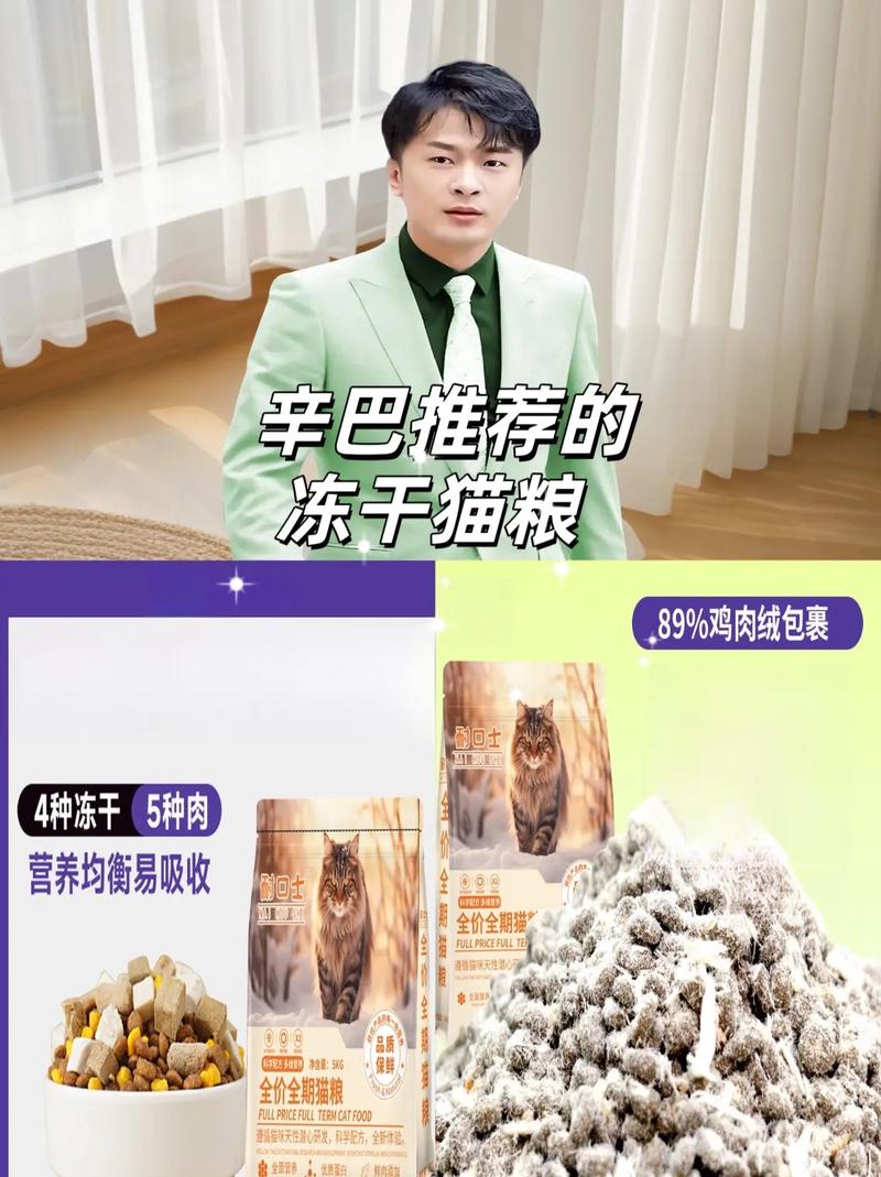 选对猫粮，猫咪健康增肥（吃什么猫粮增肥最快）