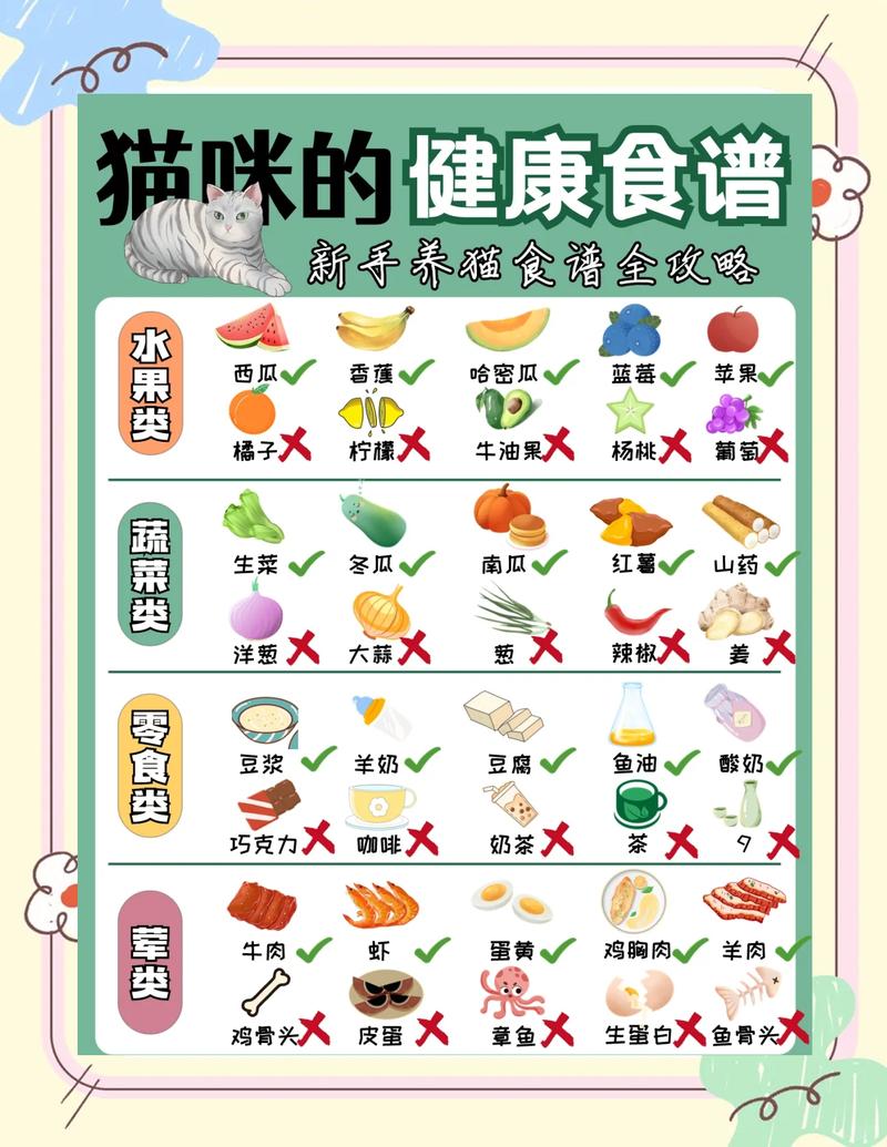喂4个月幼猫红薯要小心！（4个月的小猫每天最多能吃多少红薯）