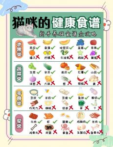 喂4个月幼猫红薯要小心！（4个月的小猫每天最多能吃多少红薯）