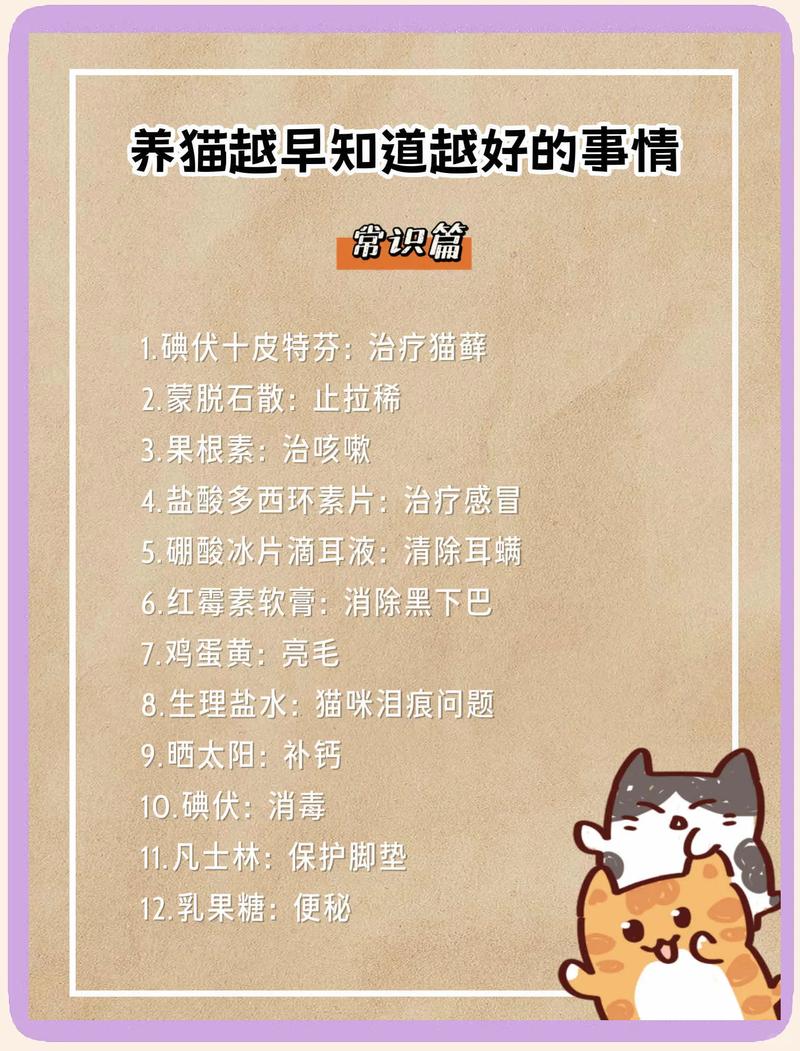 防跌落遮阳，内外活动皆重要（把猫养在阳台要注意什么）