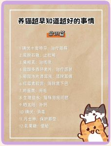 防跌落遮阳，内外活动皆重要（把猫养在阳台要注意什么）