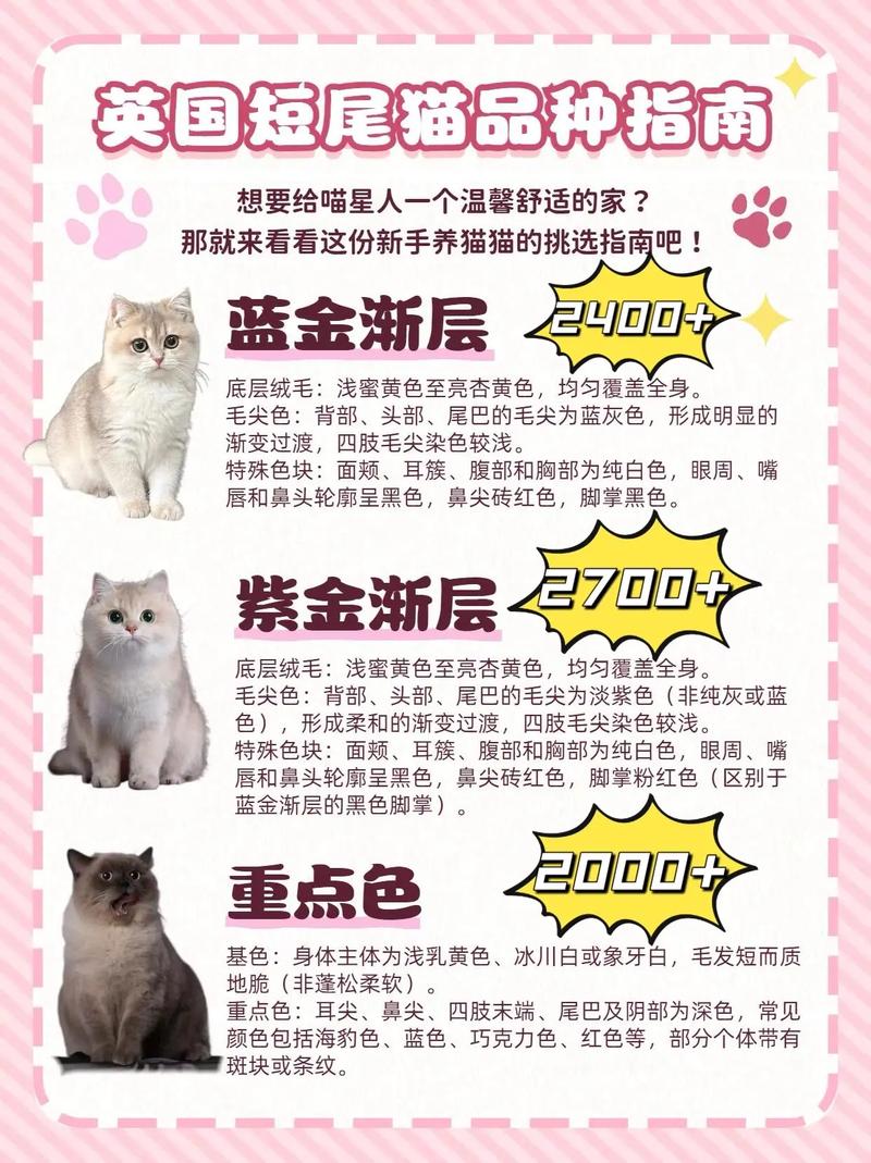 品种性格毛发，选只适合你的猫（宠物猫品种大全及图片）