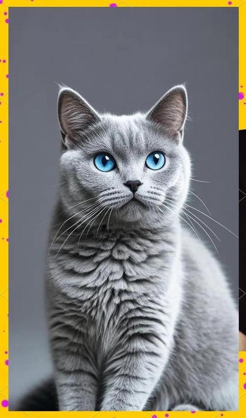品种性格毛发，选只适合你的猫（宠物猫品种大全及图片）