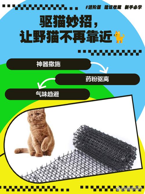 野猫扰民？物理气味驱赶，温柔绝育放归（怎样赶走野猫最有效）