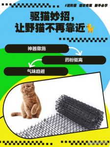 野猫扰民？物理气味驱赶，温柔绝育放归（怎样赶走野猫最有效）