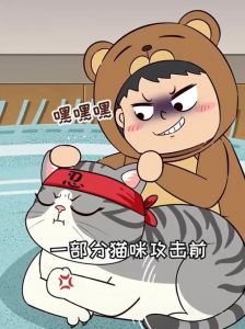布偶猫为何突然咬人？原因与应对（布偶猫猫突然攻击人什么原因）