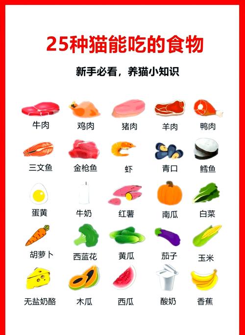 幼猫喂养要科学 选对主食助成长（幼猫能吃什么）