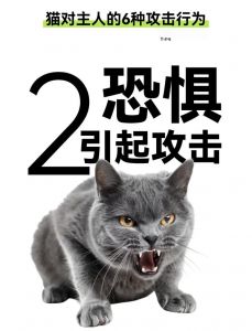 猫咪攻击人原因及应对方法（宠物猫为什么攻击人）
