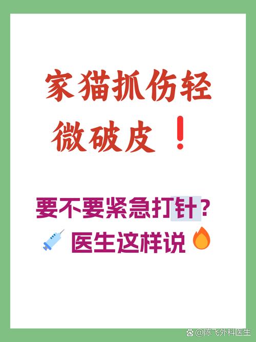 布偶猫抓伤需打狂犬疫苗吗？（布偶猫抓伤需要打狂犬疫苗吗）