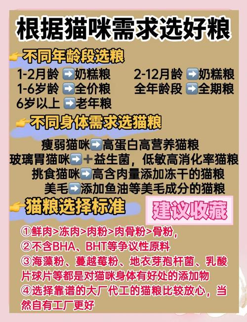渴望低脂猫粮，帮猫咪健康减肥（猫咪减肥吃什么猫粮好）