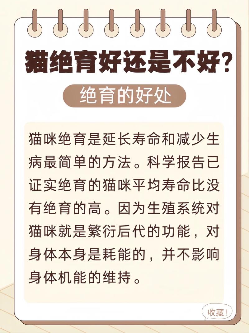 猫咪节育好处多，风险要注意（猫节育好还是不节育）