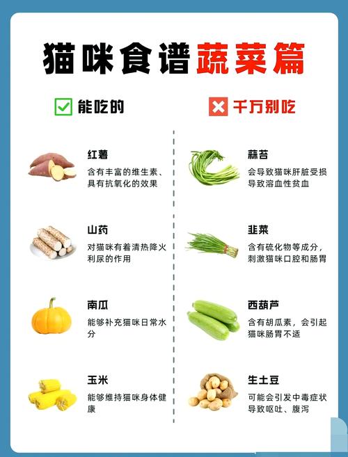 猫咪可适量吃胡萝卜红薯豌豆，但需注意健康风险（猫猫可以吃胡萝卜和红薯吗）