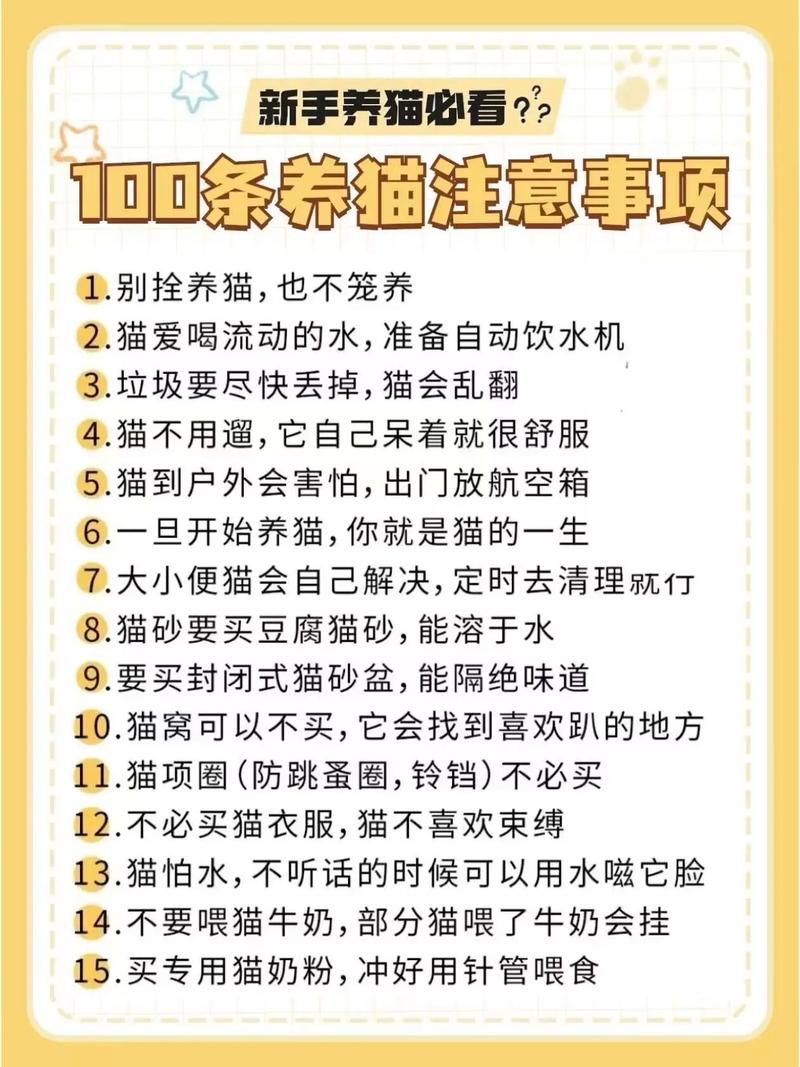 减压助眠，提升幸福感！（养猫有什么作用和好处）
