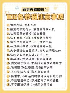 选对猫粮，梳毛防毛球，规律作息，情感交流很重要（新手养猫怎么养才健康）