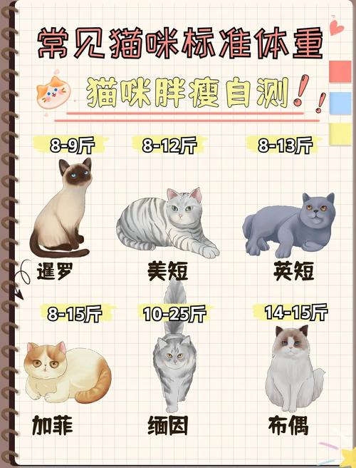 布偶猫体重对照表，8-10公斤是正常范围（布偶猫体重对照表）