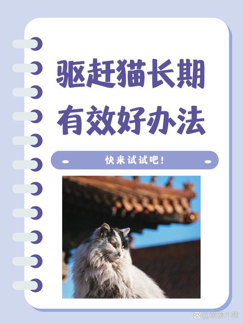 用气味阻隔和喷水，严重可邻里合作（怎么驱赶野猫让它不再来）