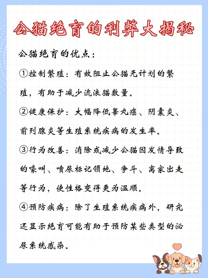 猫咪绝育寿命长性格好，但需防胖和手术风险（猫绝育好处坏处）