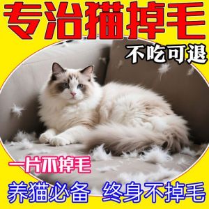 猫咪掉毛多？吃对食物勤梳洗！（猫掉毛吃什么可以不掉毛）