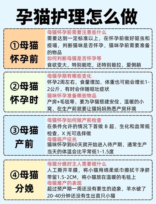 孕妇别吃猫肉，风险大！（孕妇吃猫肉的好处）