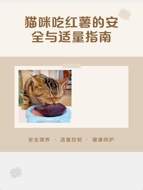 猫咪可适量吃蒸红薯，每周一两次，注意观察反应（猫猫可以吃番薯吗）