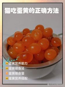 蛋黄对猫好但要注意量（猫猫吃蛋黄有什么好处）