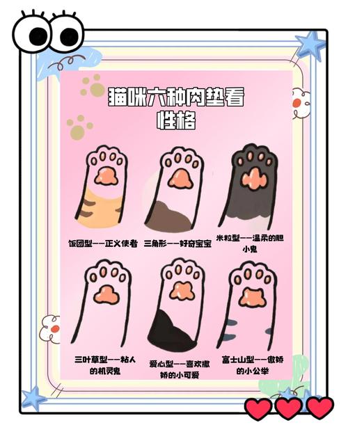 宠物文化与饮食自由的冲突（猫肉是不是和人肉一个味）