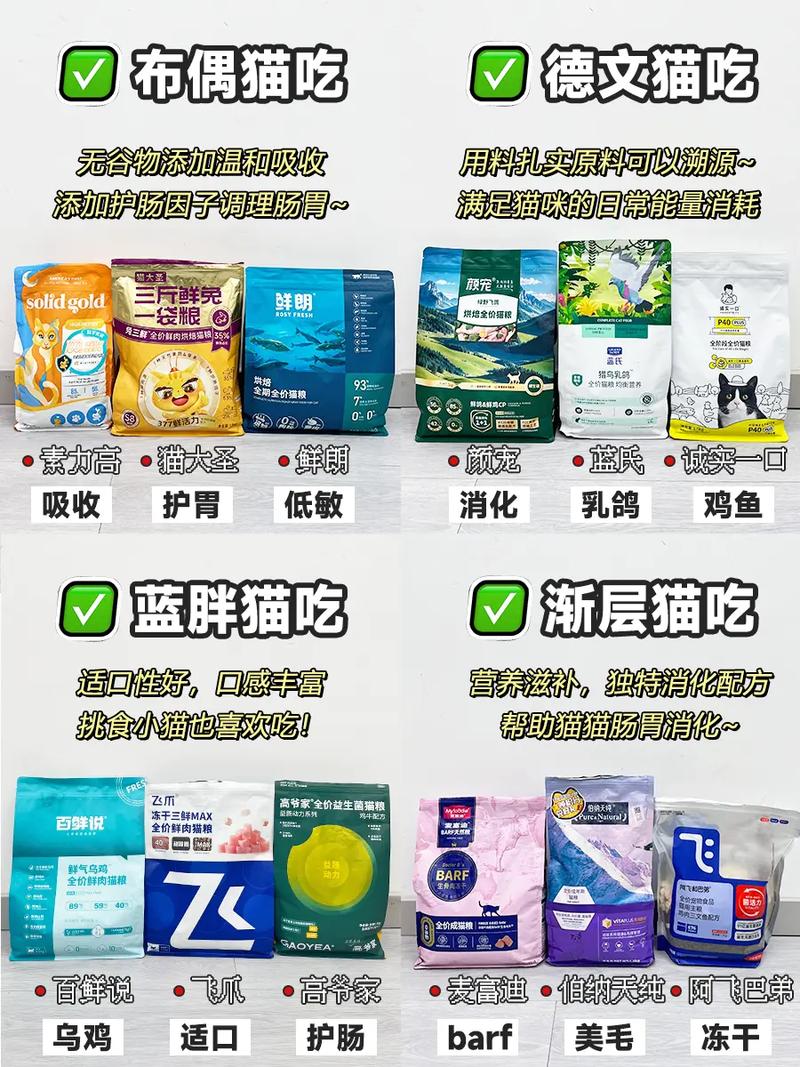 布偶猫粮选对少掉毛，肠胃易胖有对策（布偶最爱吃的三种猫粮）