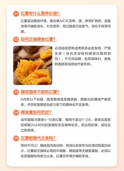 红薯能喂猫吗？少量煮熟当零食（猫咪吃不吃红薯）