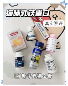 增强猫咪免疫力，促进消化健康（小猫吃的乳铁蛋白是什么作用）