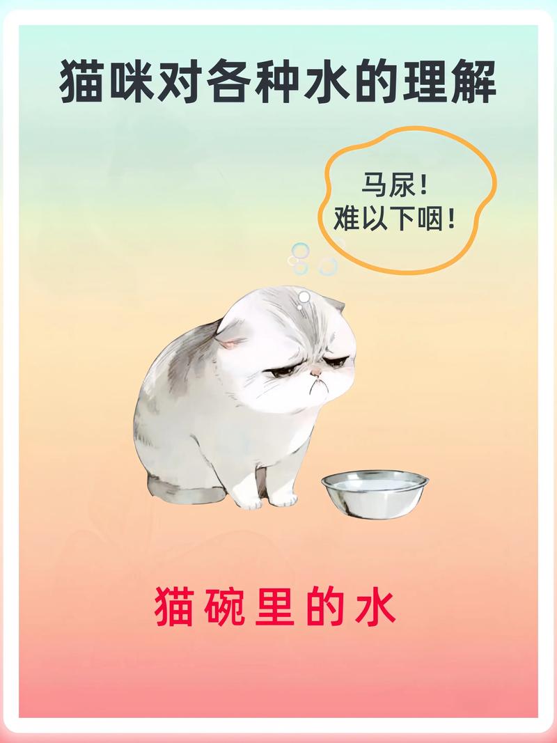 红薯水养猫好？适量喂，幼猫勿食！（猫喝红薯水的功效与作用）
