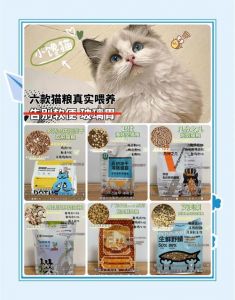 布偶猫吃普通猫粮？选对更健康！（布偶猫普通猫粮能吃吗）