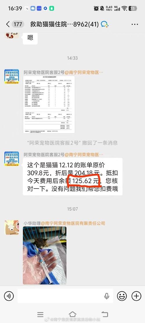 LVG退役引猜测，或转向商业代言（lvg猫什么时候退役的）