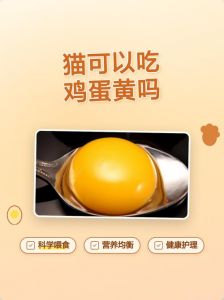 鸡蛋喂猫利弊知多少？（猫吃鸡蛋的危害和坏处）