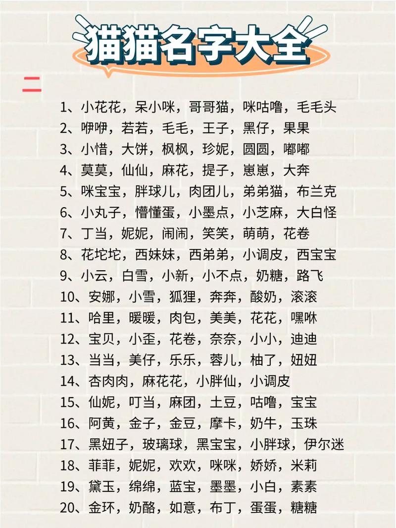 100个猫咪名字创意，性格外貌都适用（宠物猫取名100个）