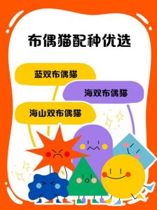 后代颜值体质看这里（布偶可以和什么猫配种）